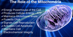 Ketogenic diet benefits - increased mitochondrial energy