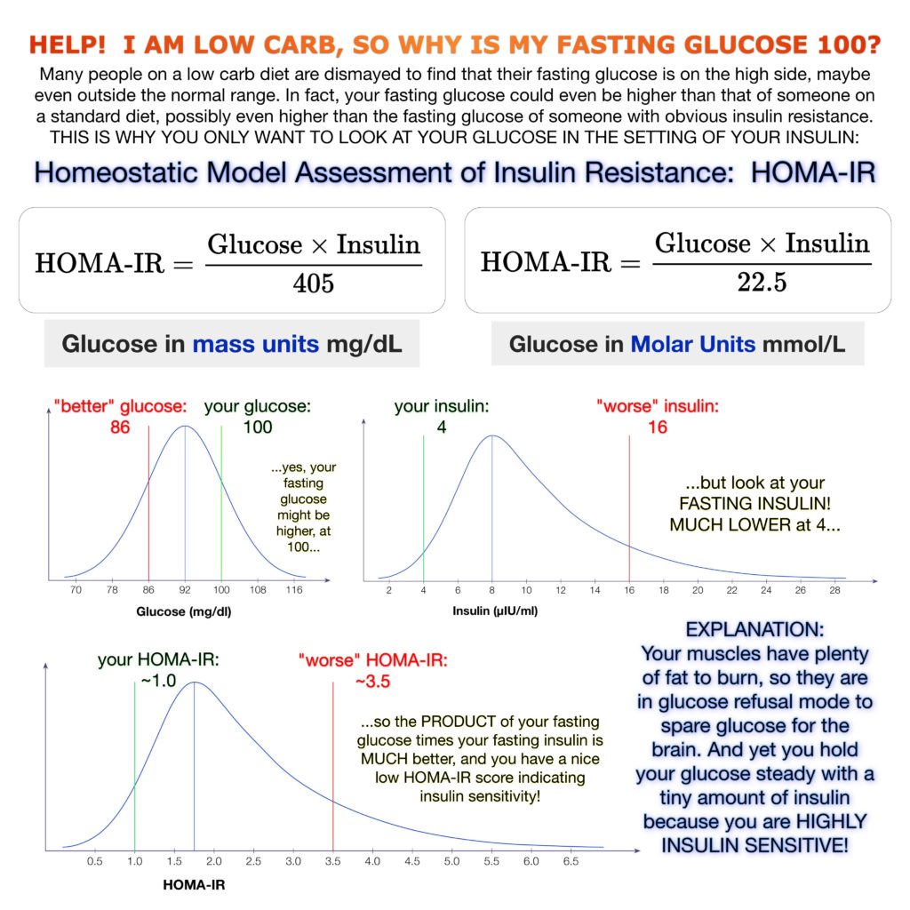 inzulinrezisztencia homa index magas