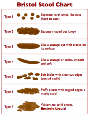 Go-To Bowel Movement Chart - Healthy Response - Nutrition for