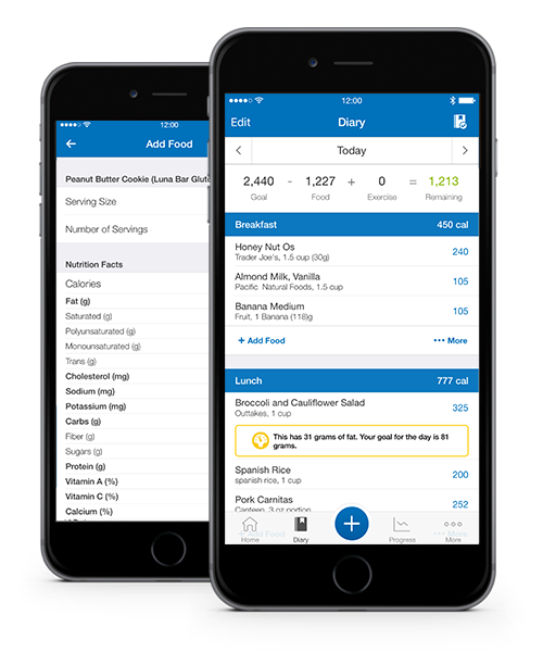 MyFitnessPal Diary